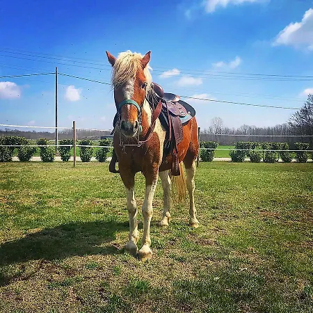 La Biandrina Κατάλυμα σε φάρμα Carpignano Sesia