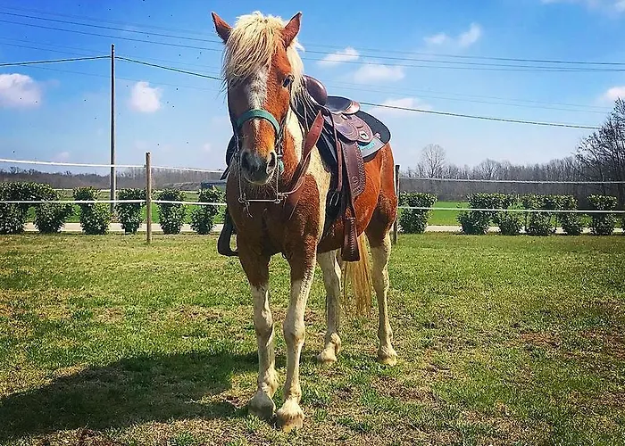 La Biandrina Séjour à la ferme Carpignano Sesia