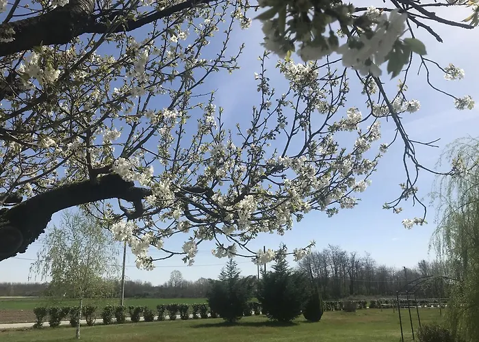 La Biandrina Séjour à la ferme *