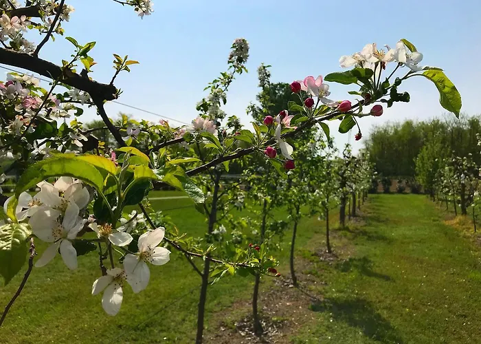 La Biandrina Séjour à la ferme Carpignano Sesia