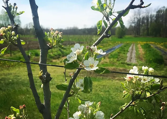 La Biandrina Séjour à la ferme