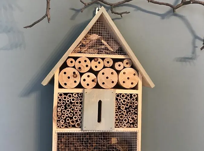 La Biandrina Carpignano Sesia